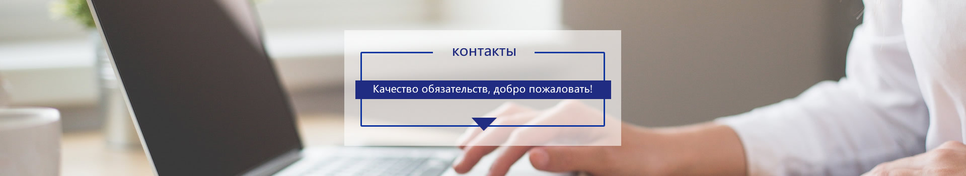 связ мы